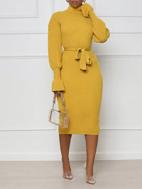 Turtleneck Tied Knit Dress